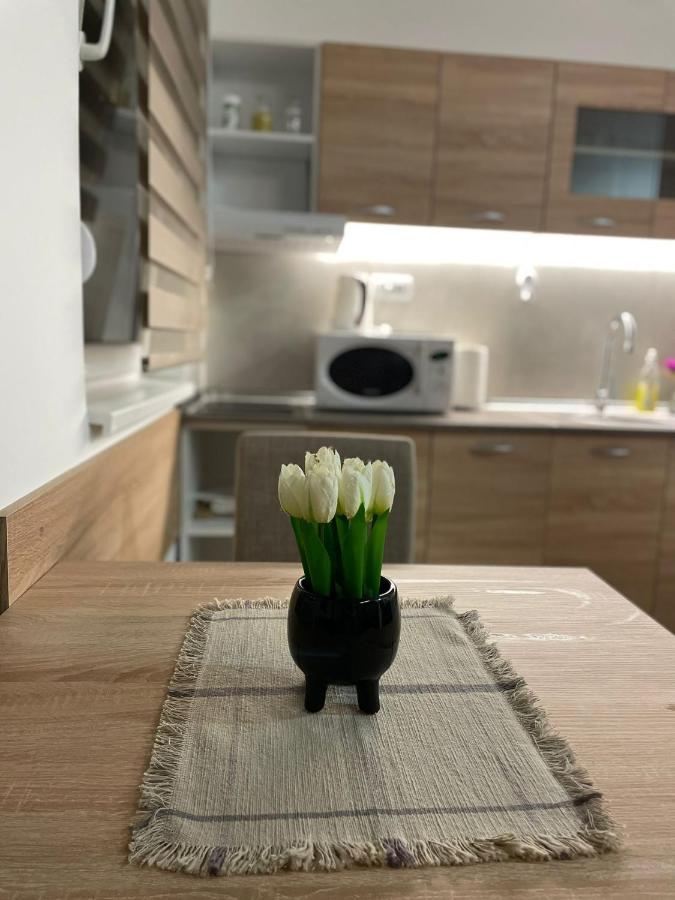 Apartman Mik 诺威萨 外观 照片